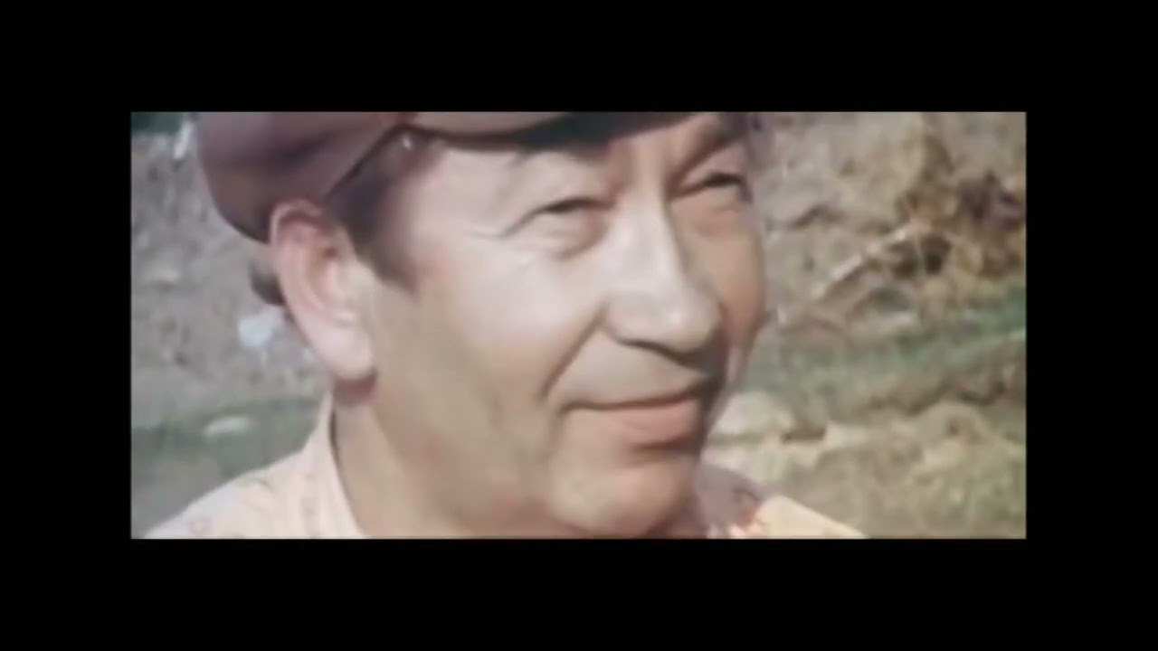 ARH KINO_ NAUKŠĒNU KRĀSAS_1982 g