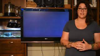 kelie/ appeal to authority and sweeping generalization