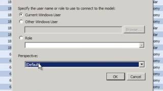 Defining BISM Tabular Model Perspectives