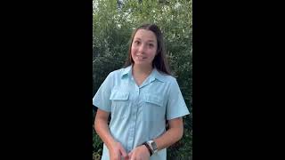 2025 AQHA Ranching Heritage Young Horse Development Program Application—Alyssa Bean
