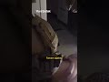Polis ekipleri kapıyı kırıp girdi
