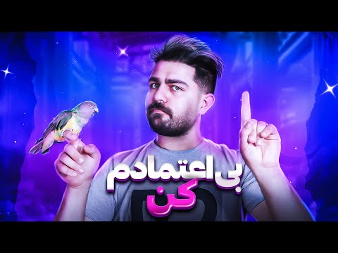 با این 6 راه طوطی تان را به دشمن خونی خود تبدیل کنید
