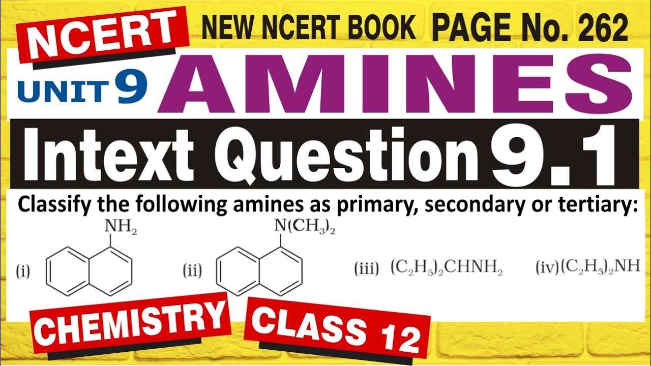 Amines Intext Question 9.1 Class 12 Chemistry | Chapter 9 NCERT Solutions ✅ Intext 9.1 Solved!