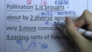 5Error ; CU-TEP ตอน17