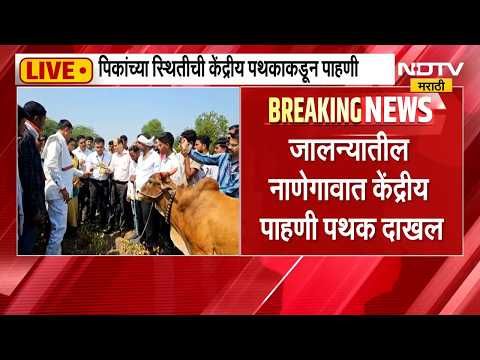 Jalna | जालन्यातील नाणेगावात केंद्रीय पाहणी पथक दाखल, शेतकऱ्यांनी मांडल्या व्यथा | NDTV Marathi