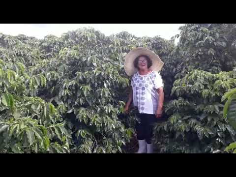 Creusa Silva Santana | Produtora de Café Especial Florada