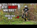 Building a Budget Doodlebug Mini Bike | Max Fun for Under $200!