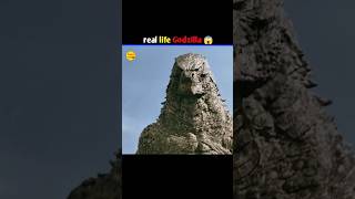 Godzilla in real life 😨| #ytshorts #shorts