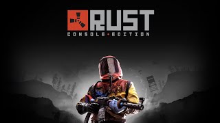 Playing Rust on my own Server and getting Drunk