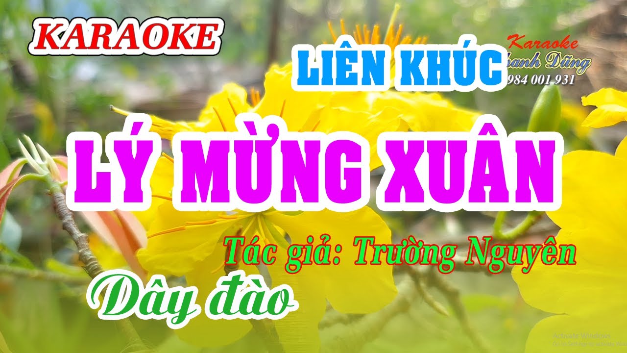 Karaoke _ Liên Khúc Lý Mừng Xuân _ Dây Đào