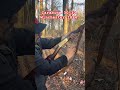 Carabina 30-30. Winchester modelo 1894. #pistolero  #30-30 #cazar  #armasdefuego  #armaspoderosas