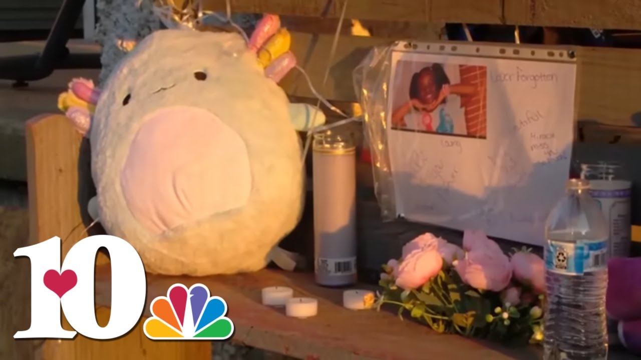 'It's unimaginable' || Tennessee 12-year-old charged with murder in death of her 8-year-old cousin