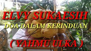 ELVY SUKAESIH- DOA DALAM KERINDUAN ( YAHMU ULKA )