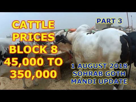 Cattle Prices In Block 8 - Sohrab Goth Mandi Update 1 August 2018 Part 3