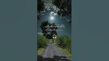 إن الذين يخشون ربهم بالغيب / القارئ عمر شريف #سورة #الملك #القرآن_الكريم #الواقية #المنجية #اكسبلور