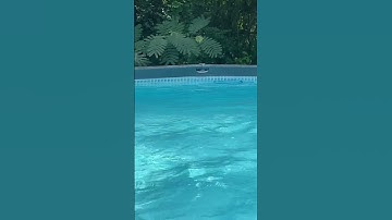 Yes my pool is 3” off level! UPDATE!