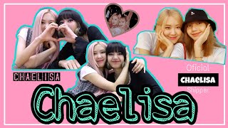 Chaelisa at fan signing event screenshot 4