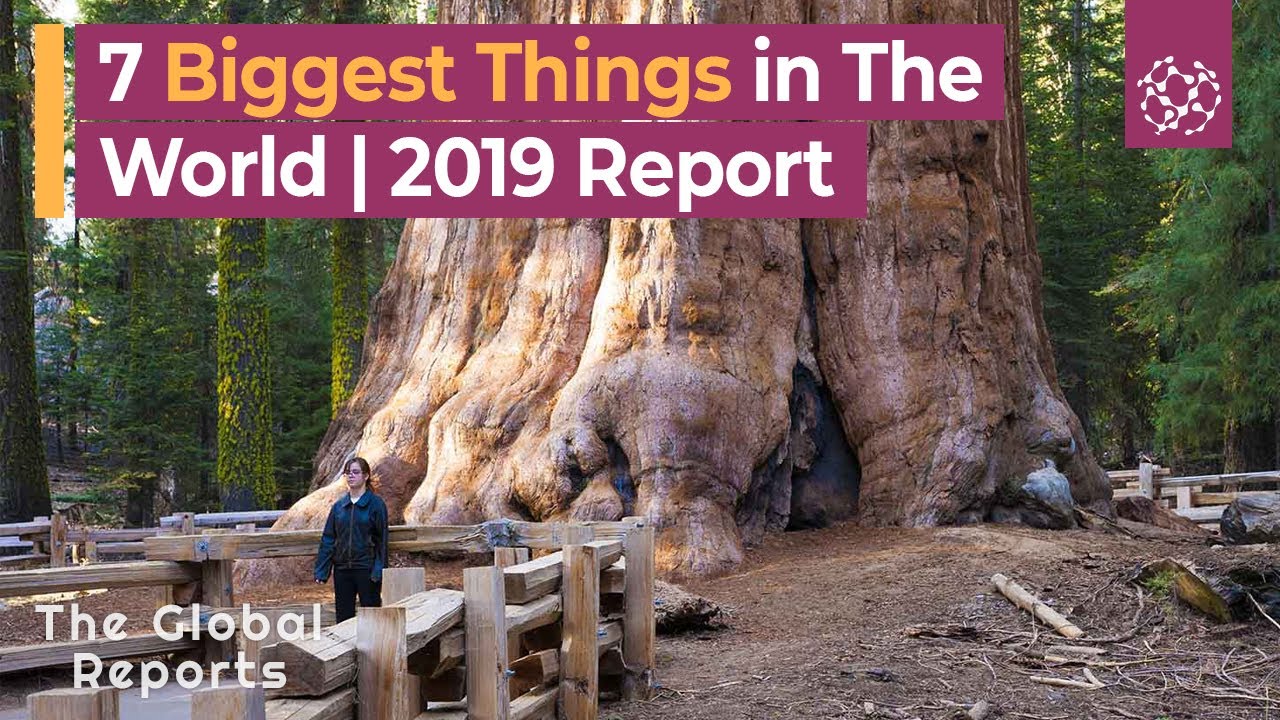 7 Biggest Things Of The World 2019 | The Global Reports