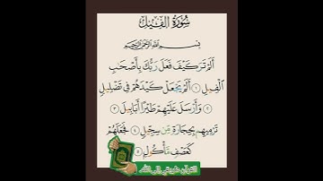سورة الفيل#القرآن#سورة #المصحف#آية#القارئ #العالم#قرآن#