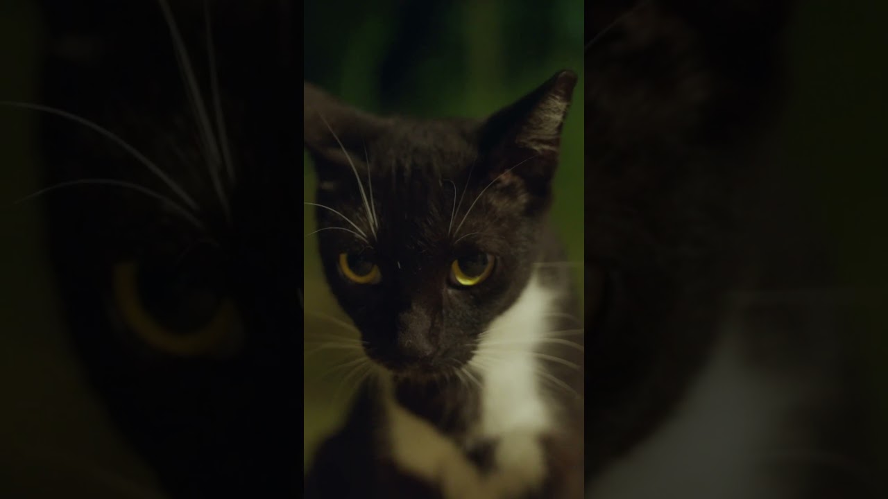 Our BVI Base at Night 🤍🌙