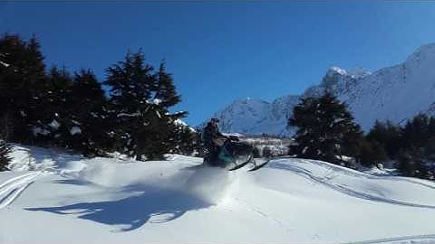 Little Silber Turbos Rip