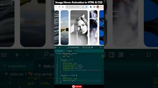Image Hover Animation in HTML & CSS  | Hover Animation htmlcss