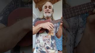 ABC - die Katze lief im Schnee    #weihnachtslied  #katzenlied #katze #akustik #katzen #ukulele #uke