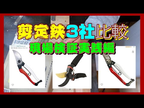 日本製剪定ばさみ、30年使い続けたプロが教える選び方とメンテナンスのコツ