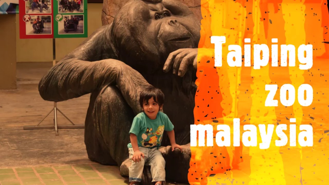 Taiping zoo Malaysia - YouTube
