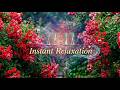 11:11 Divine Relax Music | Angel Number Frequency Energy | Relaxing Rose Garden Rain Sounds
