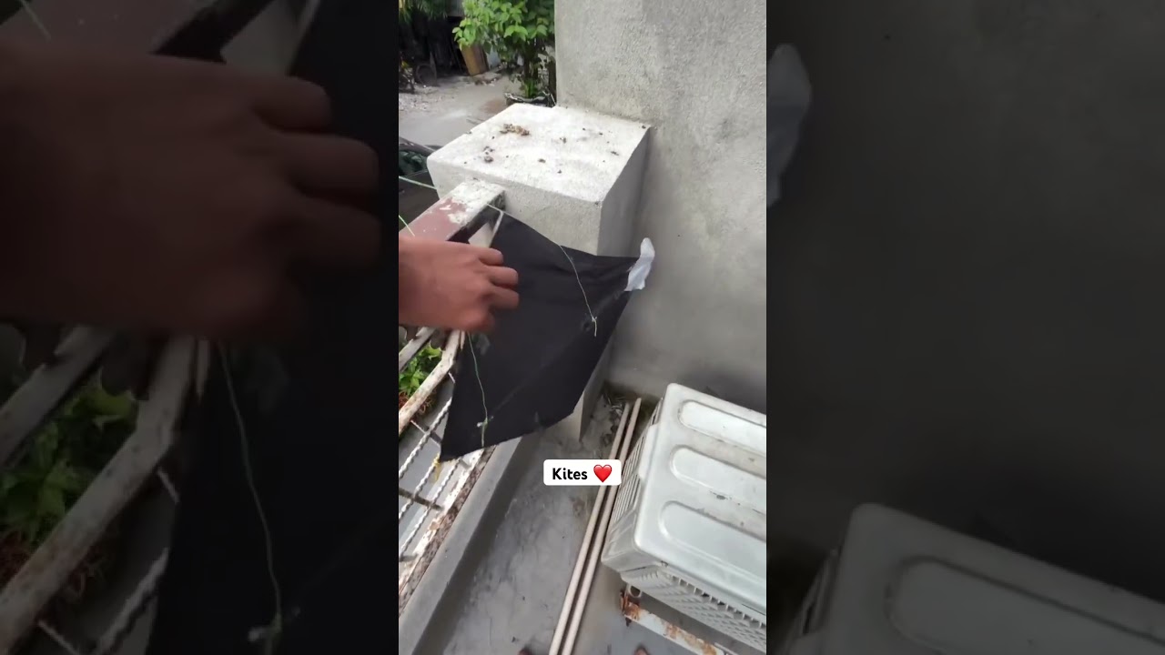 Patang fas gyi 😱 #viralvideo #monokitefighter #kiteflying #subscribe #kiteground #dillikiteclub