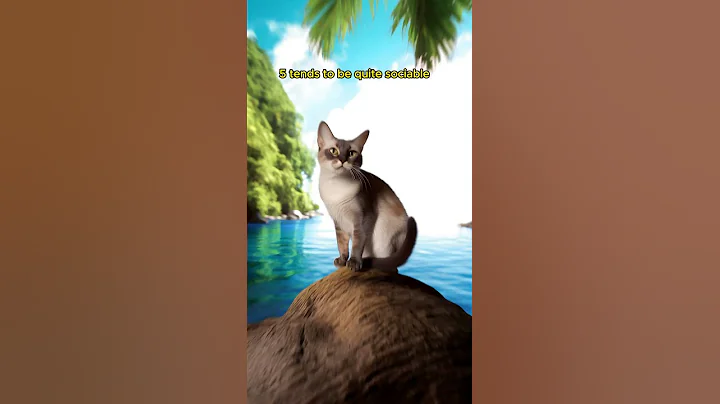 Watch the video about Cat Breed Series 14