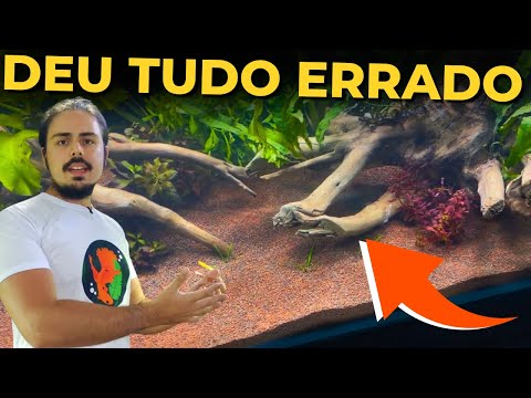 🔴COBRINHA KUHLI: TUDO SOBRE, Mr. Betta