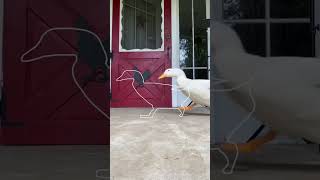 seducktive impossible pause game