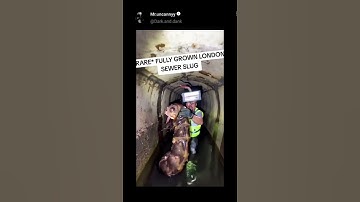 That slug looks so big😳