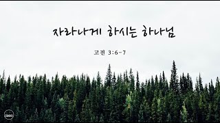 20200517 자라나게 하시는 하나님 (고전 3:6-7)