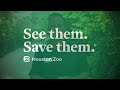 Houston Zoo Animals Vaccinated Against COVID-19