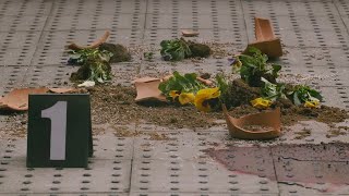ベランダから落ちた植木鉢の悲劇、誰を憎めば終わるのか／映画『誰かの花』予告編
