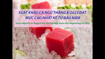 VASEP Highlight - T9/2023: Xuất khẩu cá ngừ tháng 8/2023 đạt mức cao nhất kể từ đầu năm