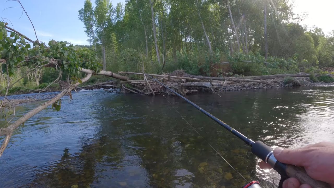 Las truchas se volvieron locas a comer| Sereno #12 (2024)