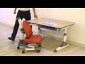 Ergonomic Table And Chair