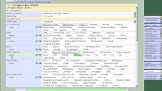 Celebrity Patient Problem List and Physician Documentation Wealth