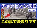 この馬が2桁人気で良いんですか？舐められすぎている大穴と中京無敗の新星、そしてラストランを迎えるのに状態上向きな古豪で勝負🔥🏇【チャンピオンズC＆ステイヤーズS＆鳴尾記念2025】