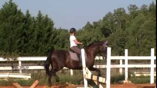 Randi Thompson. Adjusting your horses balance and connection with Cavaletti #2  Dressage