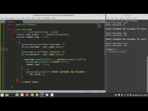 Java Tutorial 8: While loops and do while loops