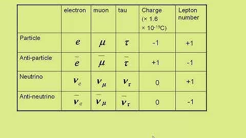 quarks and leptons