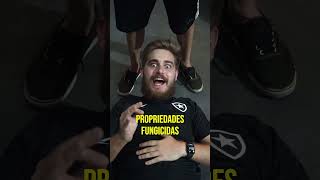 Como Fazer Dinheiro Com