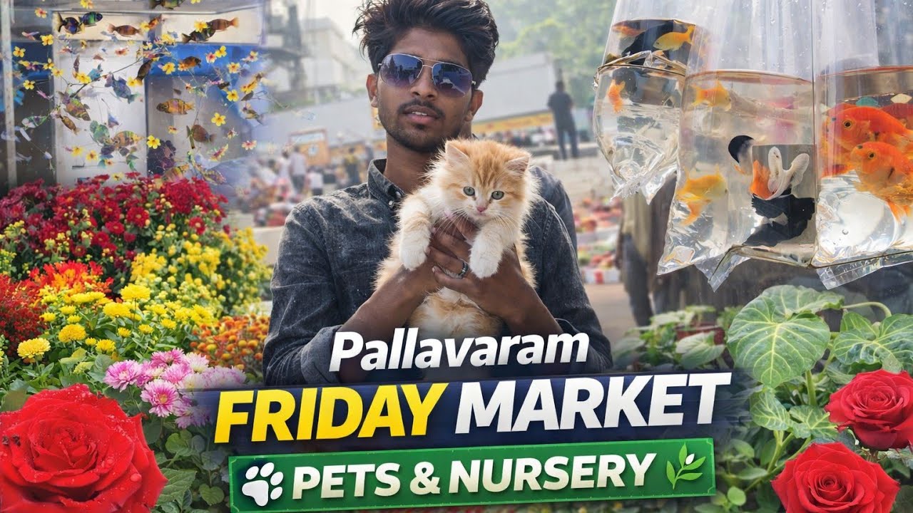 Pallavaram Friday Market 2026 🔥 Pets & Nursery Full Cover | Prices & Variety