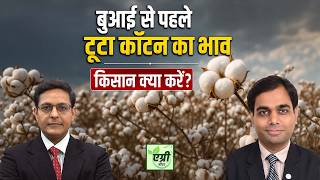 Commodity Market : शॉर्ट टर्म में कॉटन और कॉटनसीड ऑयलकेक की कीमतों का क्या है आउटलुक? NCDEX