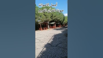 قران كريم🤲😍 بصوت جميل للشيخ اسلام صبحي #المصحف #راحة_نفسية #اكسبلور#الرحمن 🤲 #voiceeffects #singing